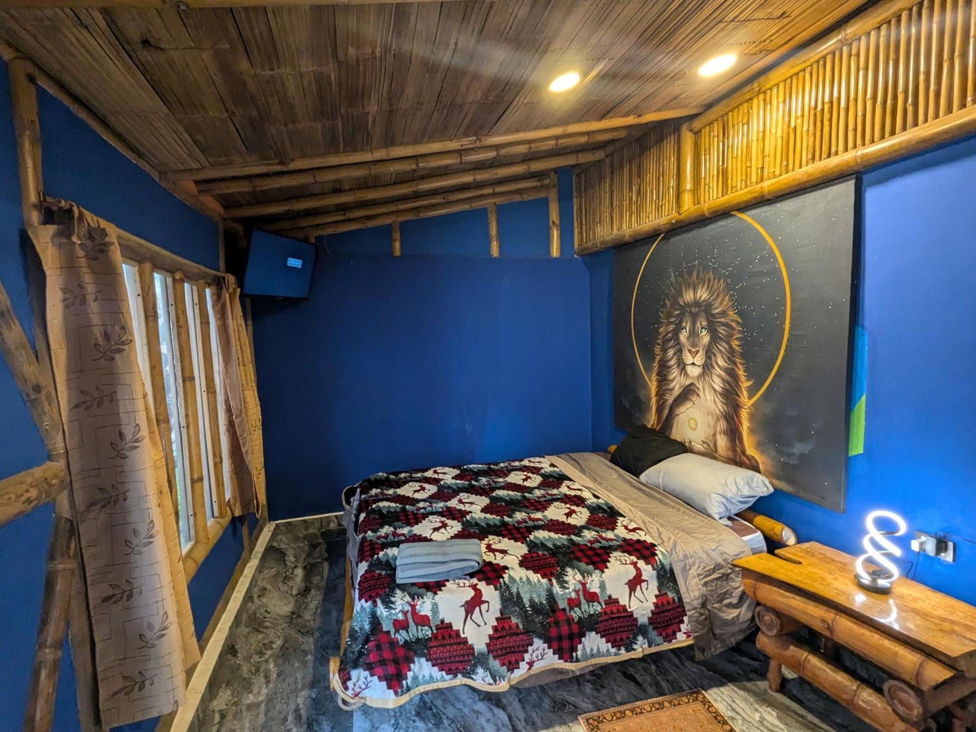Qinti Quetzal Boutique Guest House Y Elixir Bar San Agustín Eksteriør billede